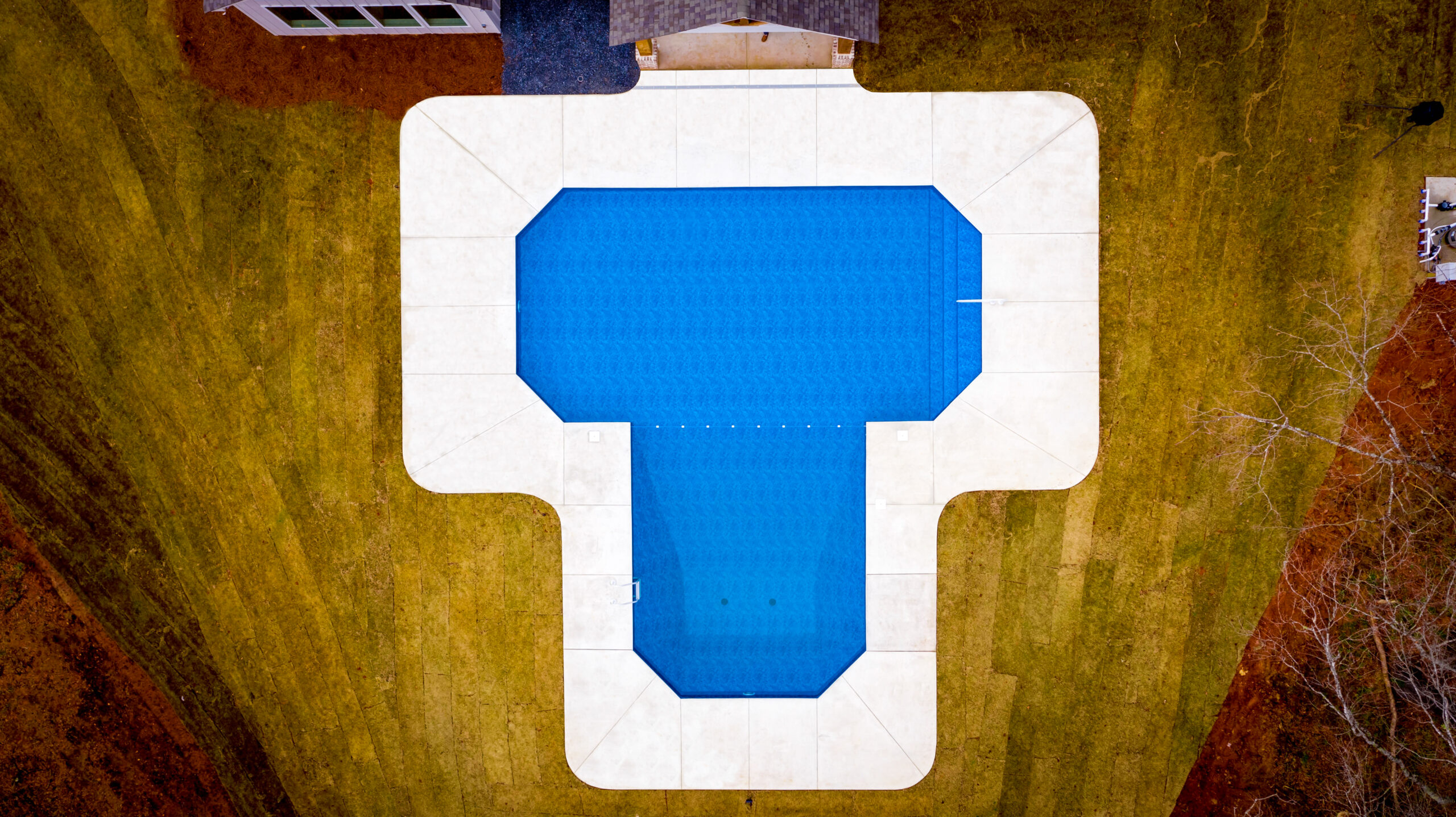 What Pool Shape Works Best for Your Yard?